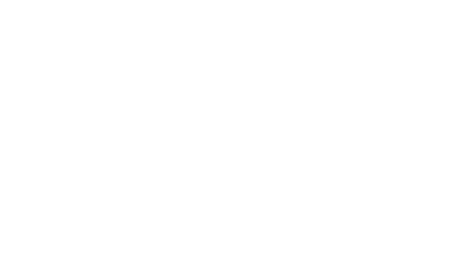 虎鶫　－ＴＳＵＧＵＭＩ　ＰＲＯＪＥＣＴ－
