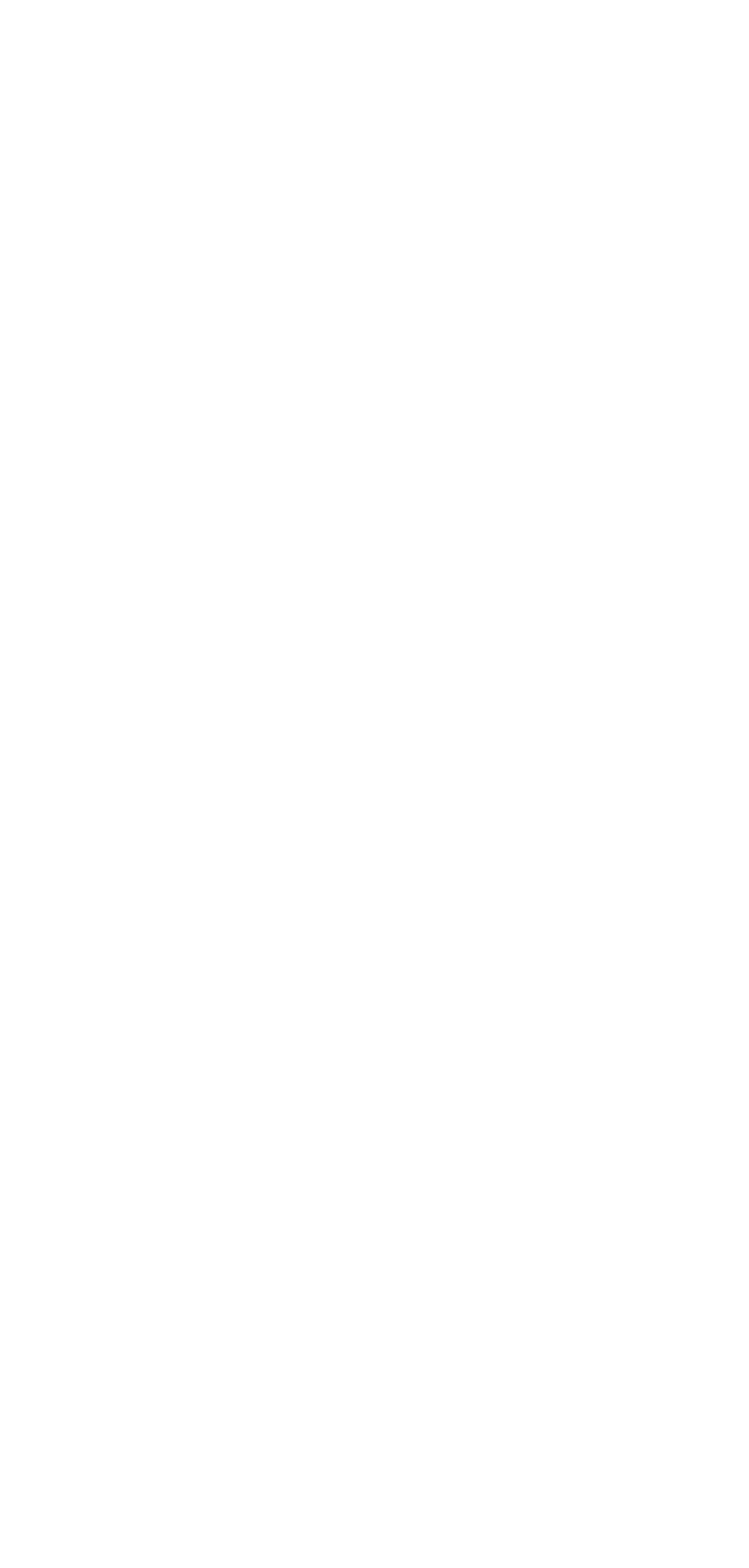 虎鶫 -TSUGUMI PROJECT-